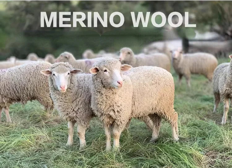 Women's Merino Wool Blend Boxer Briefs